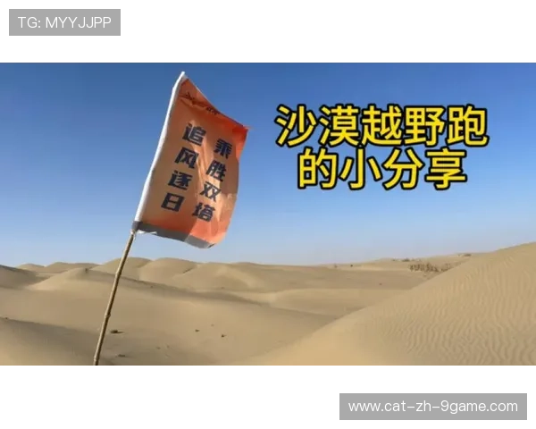 沙漠越野跑：风沙之中的生存挑战，沙漠越野玩法